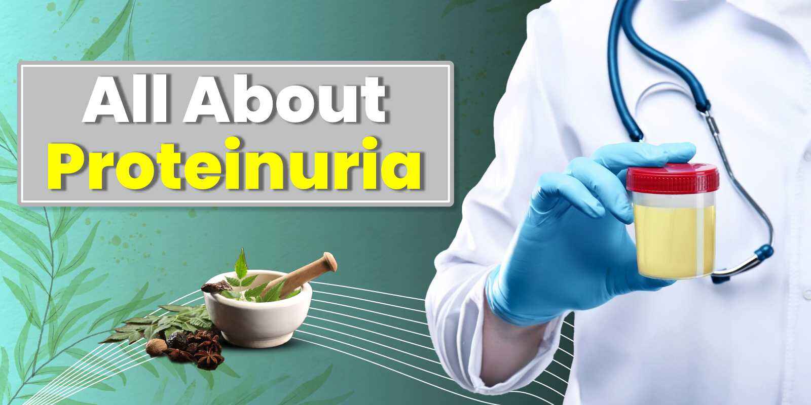 ayurvedic treatment for proteinuria